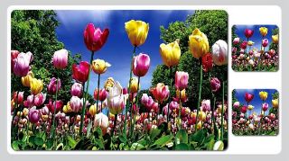 Obrázek z Prostírací set 3D 3ks - tulipány(10) 